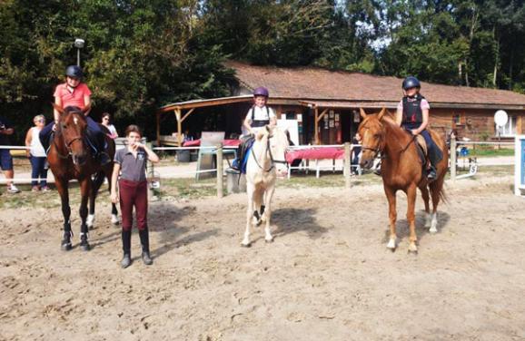 cours chevaux