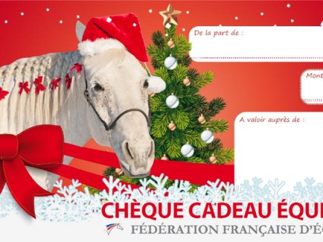 NOUVEAU Offrez de l'équitation à noël, offrez un chèque cadeau !