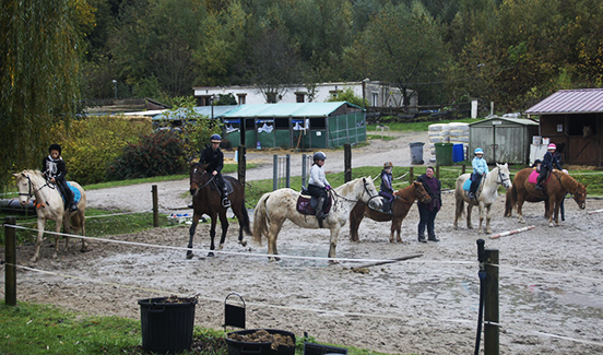 entraînement cheval