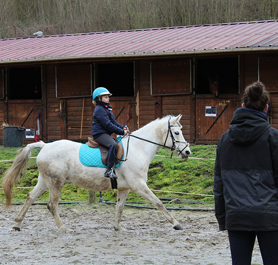 cours poney