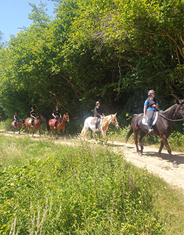 randonné à cheval