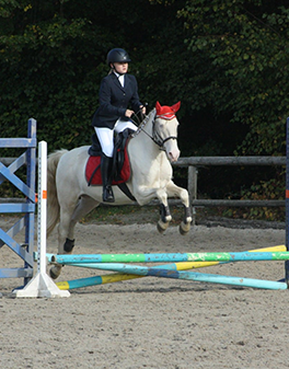 stage d'équitation